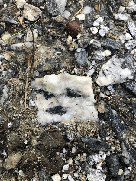 a rock that looks like a face